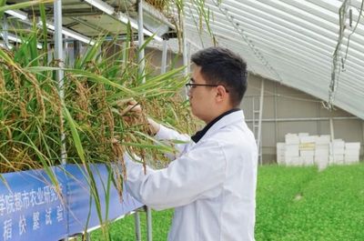 國(guó)際首次試驗(yàn)成功，核心技術(shù)源自天府新區(qū)科技推廣與應(yīng)用服務(wù)